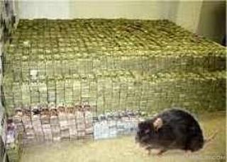 Spiritual Rats / Short Boys (Amagudwane) That Brings Money, For Hire Call / WhatsApp: +27722171549